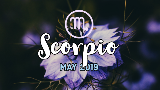 2019-05:Banner:08 Scorpio.png