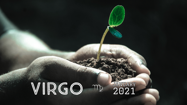 2021 01:Banner:06 Virgo
