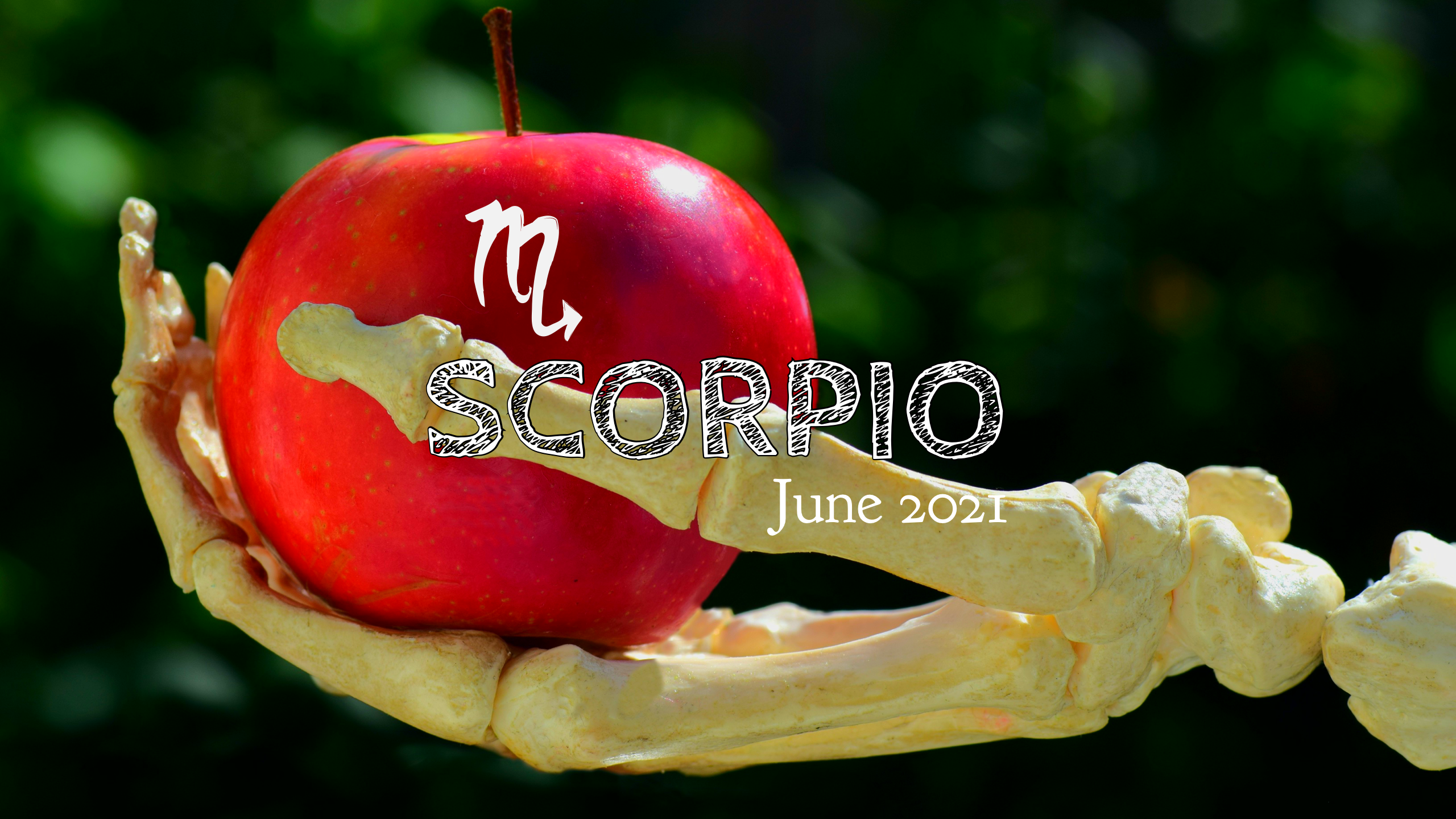 2021 06:Banner:08 Scorpio