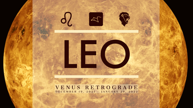 2021 Venus Retrograde:Banner:05 Leo